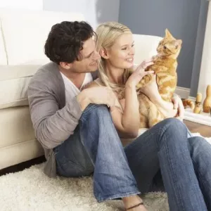 Jak obsahovat koťátko nebo dospělou kočku v bytě: pravidla pro udržování koček doma